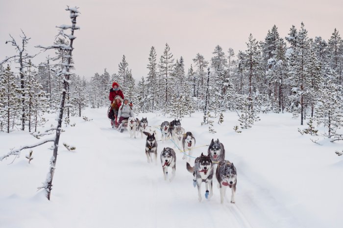 anna_öhlund-dog_sledding_adventure-6467.jpg