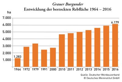 Entwicklung Grauburgunder
