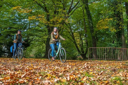 1-Radfahren im Herbst_Tourismusverband Lausitzer Seenland, Nada Quenzel.jpg