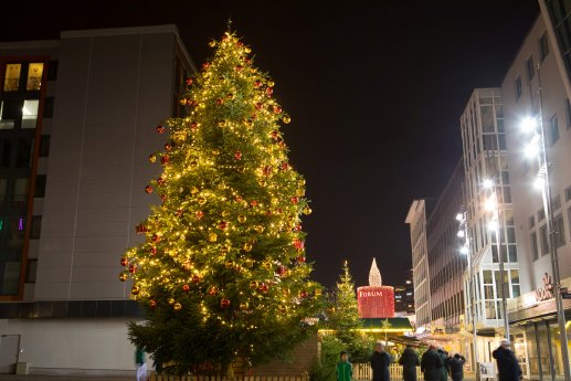 Weihnachtsbaum Schloßstraße.jpg