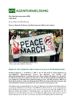 APD_132-2019.pdf