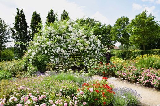 Park_der Gaerten_Rosenpyramide.jpg