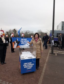 Dont-Chicken-out-Strasbourg-Aktion-AnimalSociety_20250211_082645623.jpg
