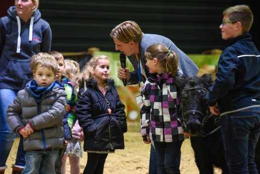 Reitsportmesse Niederrhein 3.jpg