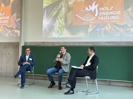 01_Holzenergie-Tagung-BW-2025.jpg