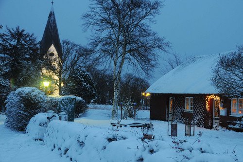 dsc-9329-amrum-im-winter-nebel-95.jpg