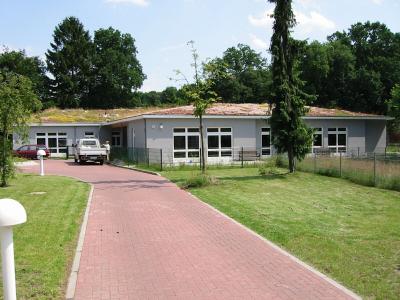Dachbegrünung auf Kindergarten