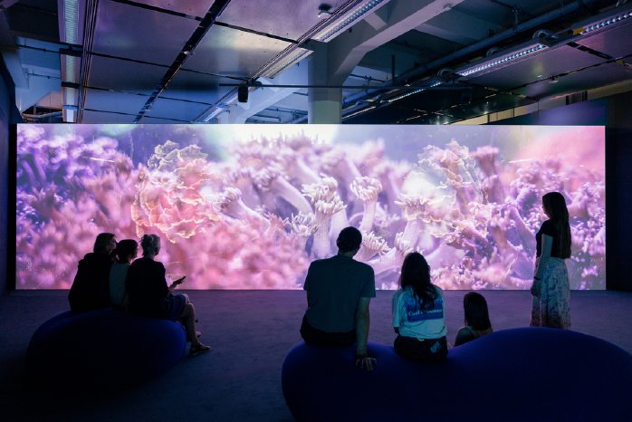 2026_Sivler_Egg_ZKM_Preview_072_Marco_Barotti__Coral_Sonic_Resilience__2025___Marco_Barotti.jpg