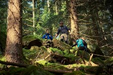 Querfeldein durchs Albtal im nördlichen Schwarzwald