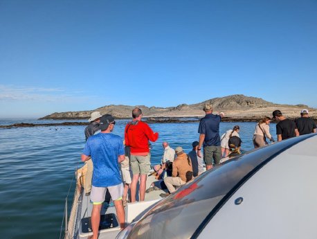 luederitz-bootsausflug-namibia.jpg