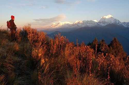 Im Oktober starten die ersten Wikinger-Gruppen nach Nepal - auf sie wartet u. a. der Poon Hill k.jpg
