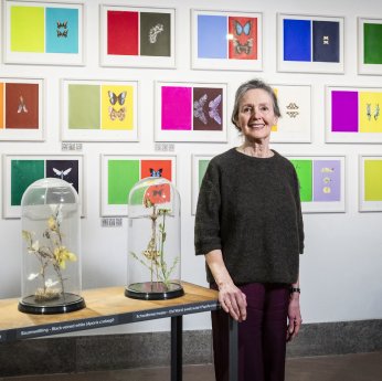 Joos van de Plas 2026 Foto Museum Wiesbaden Bernd Fickert.jpg