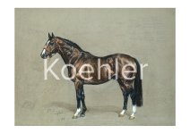 PM Bilder mit Wasserzeichen4