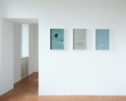 Web Version-Fondazione d'arte Erich Lindenberg - Villa Pia-Fondazione d'Arte Erich Lindenbe.jpg