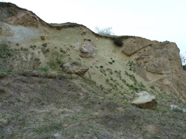 Aufschlüsse_Geotop_Unterwilflingen_Kathrin_Schön__.JPG