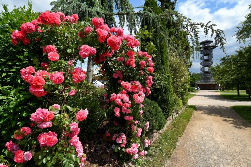 Hans_Juergen_Zietz_Sommer_im_Park_der_Gärten.jpg