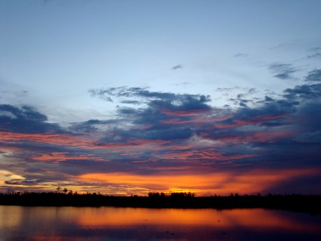 Sonnenuntergang am Danau Mesangat 2012_Foto c by R.B Stuebing.JPG