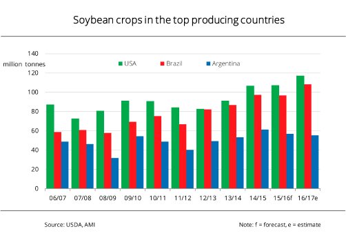 17_11_EN_Soybean_crops_in_the_top_producing_countries.jpg