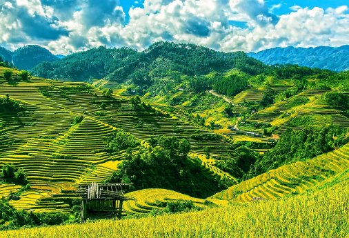 Reisterrassen_in_Vietnam_Credit_pixabay.jpg