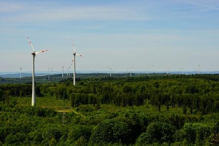 Foto: Naturschutzinitiative e.V. (NI)
