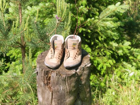 Bild04_Quelle Corinna Plege.jpg