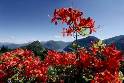 San Salvatore – Carona – Morcote zwischen Natur und Kultur