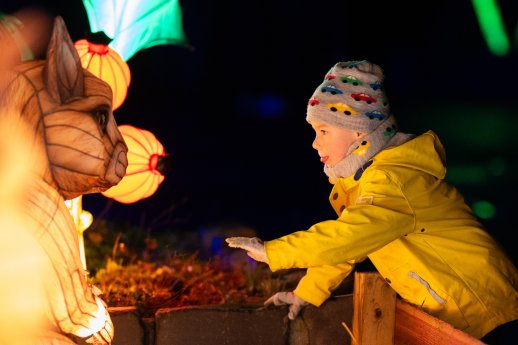 Wunderlight 3© Wunderland Kalkar.jpg