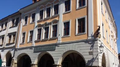 Brauner Hirsch am Untermarkt -