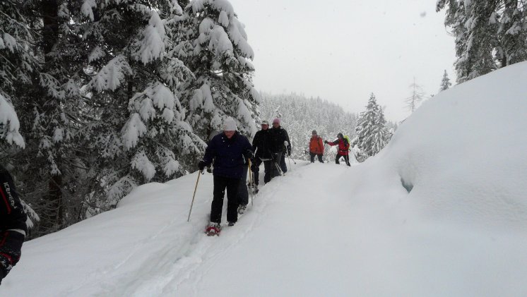 Schneeschuhwandern Wildschönau (4).JPG
