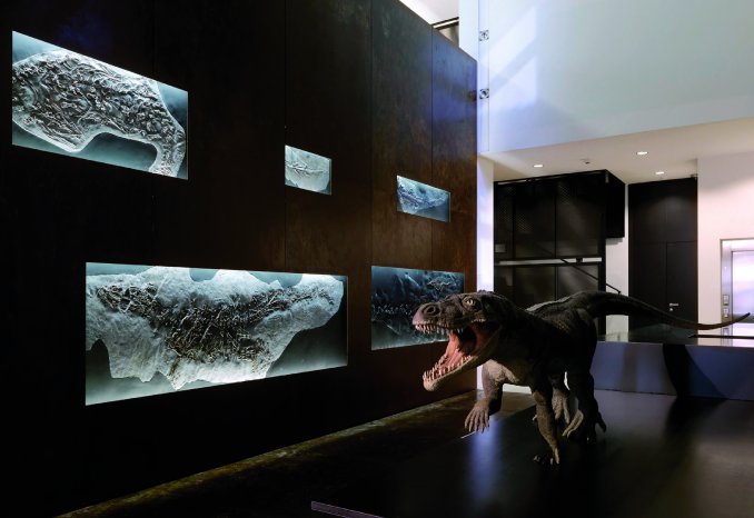 Web Version-1_Museo dei Fossili del Monte San Giorgio -©Fotografie Enrico Cano.jpg