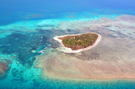 Great Barrier Reef bei Cairns.jpg