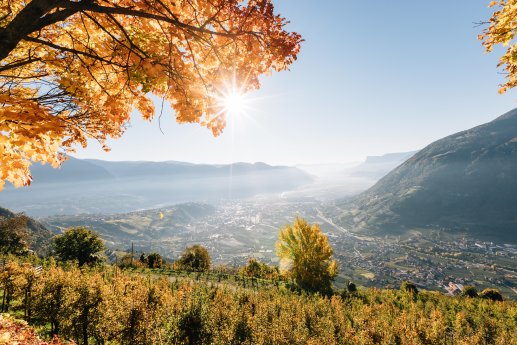 Benjamin_Pfitscher_HQ_bp_341227_c_benjamin_pfitscher (34)  - Herbst Berg Panorama Vellau.jpg
