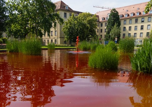 UKF-Bild2.jpg