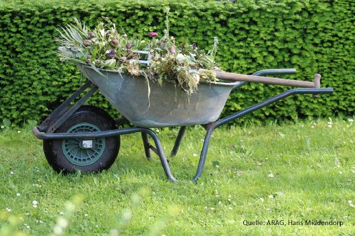 Garten_im_Winterschlaf.jpg