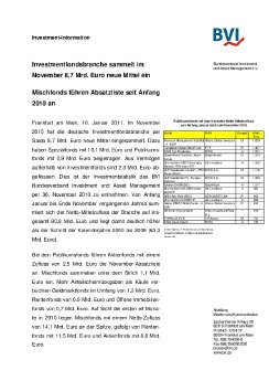 2011_01_10_pm_inv[1].pdf