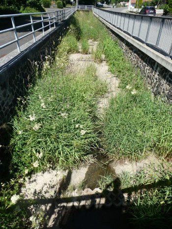 Dirlammen - Brenderwasser.JPG