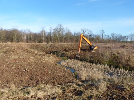 Baggerarbeiten im Kompensationspool Herzberger Aue.jpg