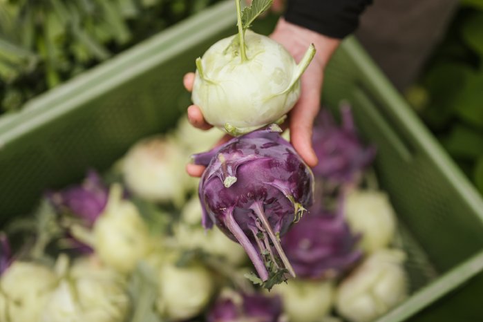 Bäuerliche Genusspromenade - © Armin Terzer - WEB 230519115005.jpg