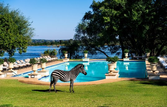 Zebra_c_The_Royal_Livingstone_Victoria_Falls_Zambia_Hotel_By_Anantara.jpg