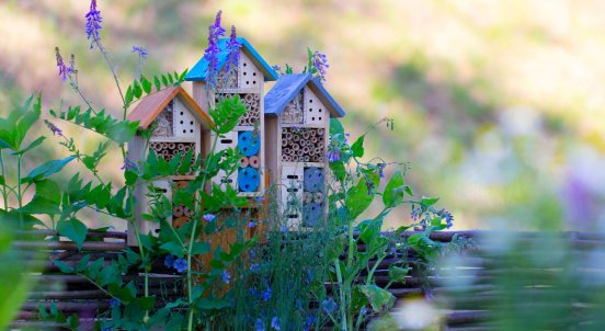 slider_05_AdobeStock_206696906.jpg