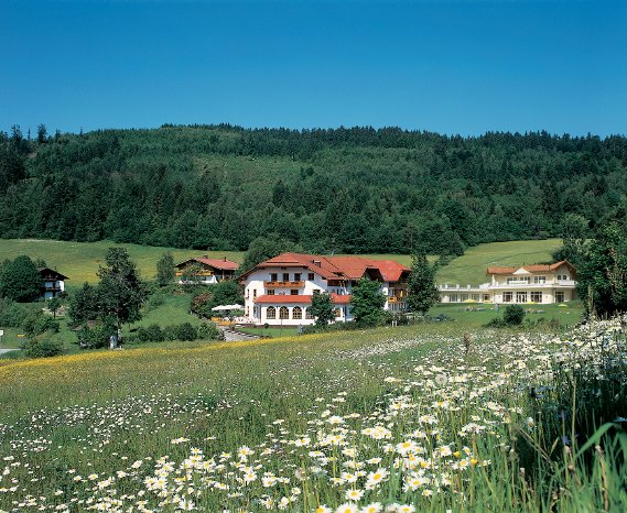 hammerhof-sommerland.jpg