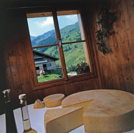 46 Käse von der Schönangeralm Wildschönau Tourismus.JPG