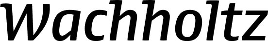 Wachholtz-Logo.jpg
