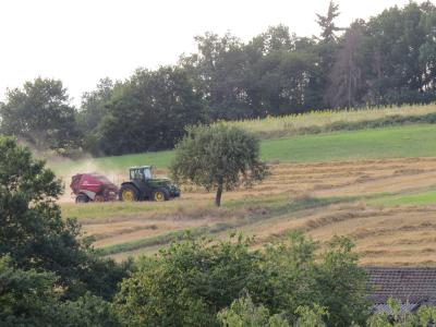 Die Ausbreitung des Corona-Virus stellt auch die Landwirte vor große Herausforderungen. Foto: Susanne Jost / Vogelsbergkreis