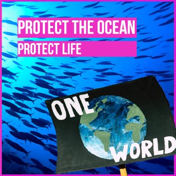 Protect-The-Ocean-Protect-Life.png