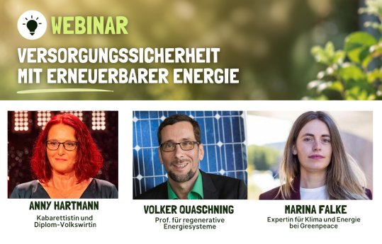 Webinar Versorgungssicherheit mit erneuerbarer Energie Omas for Future.png