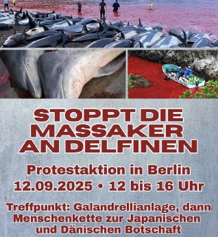 Protest Aufruf Web.png