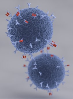CARAT_T-cells.png