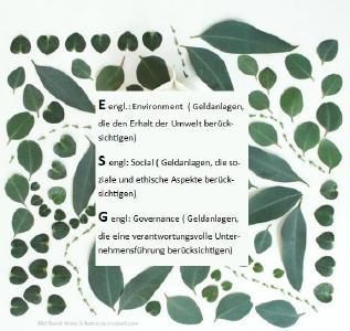 Nachhaltige Geldanlagen, die den ESG-Kriterien entsprechen, erfahren immer mehr Geldzufüsse. FORAIM berichtet zu den Chancen für private Anleger:innen
