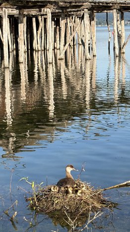 IMG_0187.jpg
